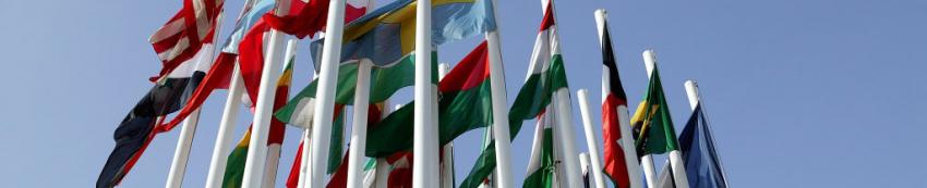 80002_internationale_vlaggen_850x200_px.jpg
