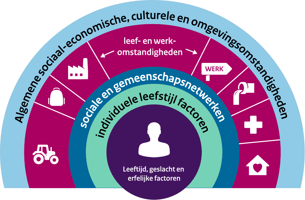 Model determinanten gezondheid