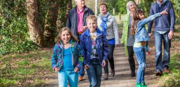 familie wandelt in het bos  